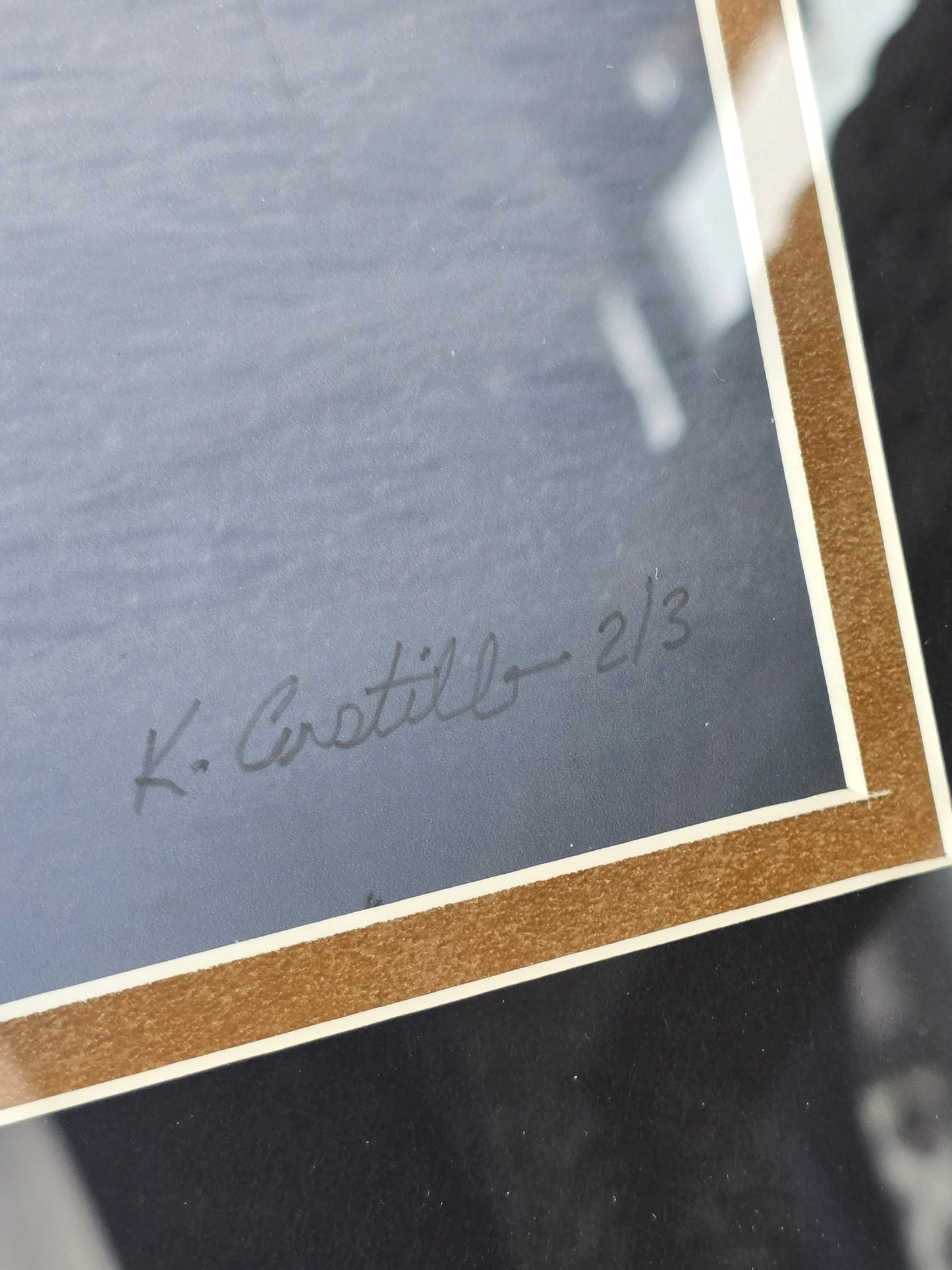 Limited Edition SIGNED Bison Photo