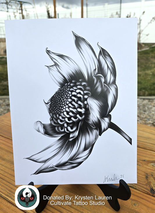 Black and white drawing of a chrysanthemum flower on a white background