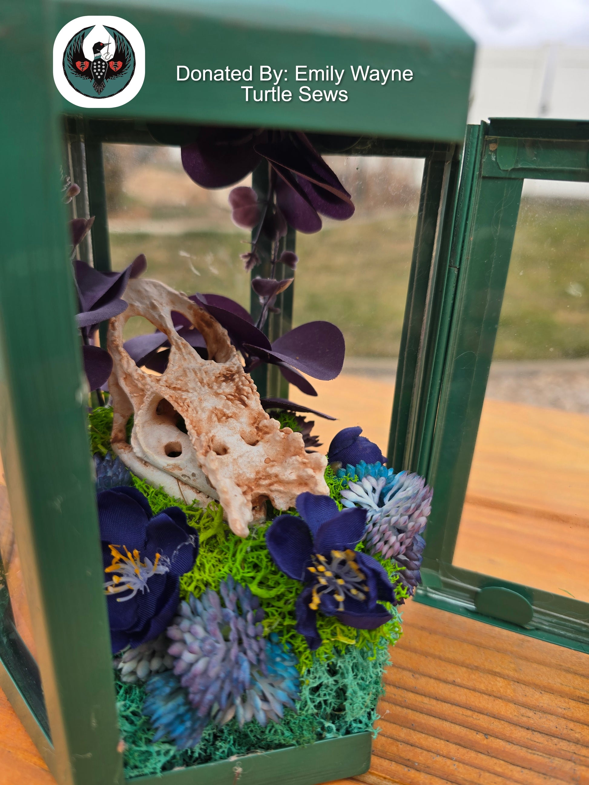 an open Green lantern with a resin printed chameleon skull and silk flowers inside.