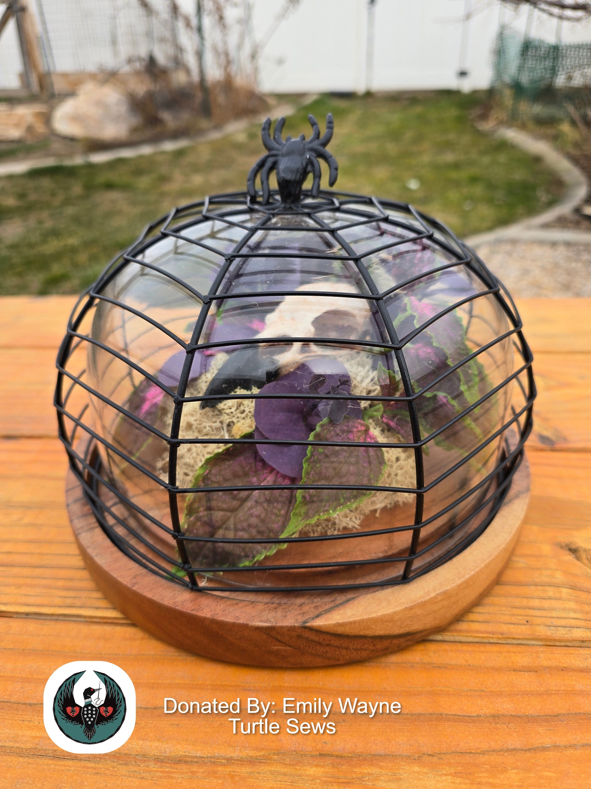 Decorative terrarium with a black wire spider web lid with a Decorative arrangement with purple leaves and a resin-printed raven skull on a wooden surface inside.
