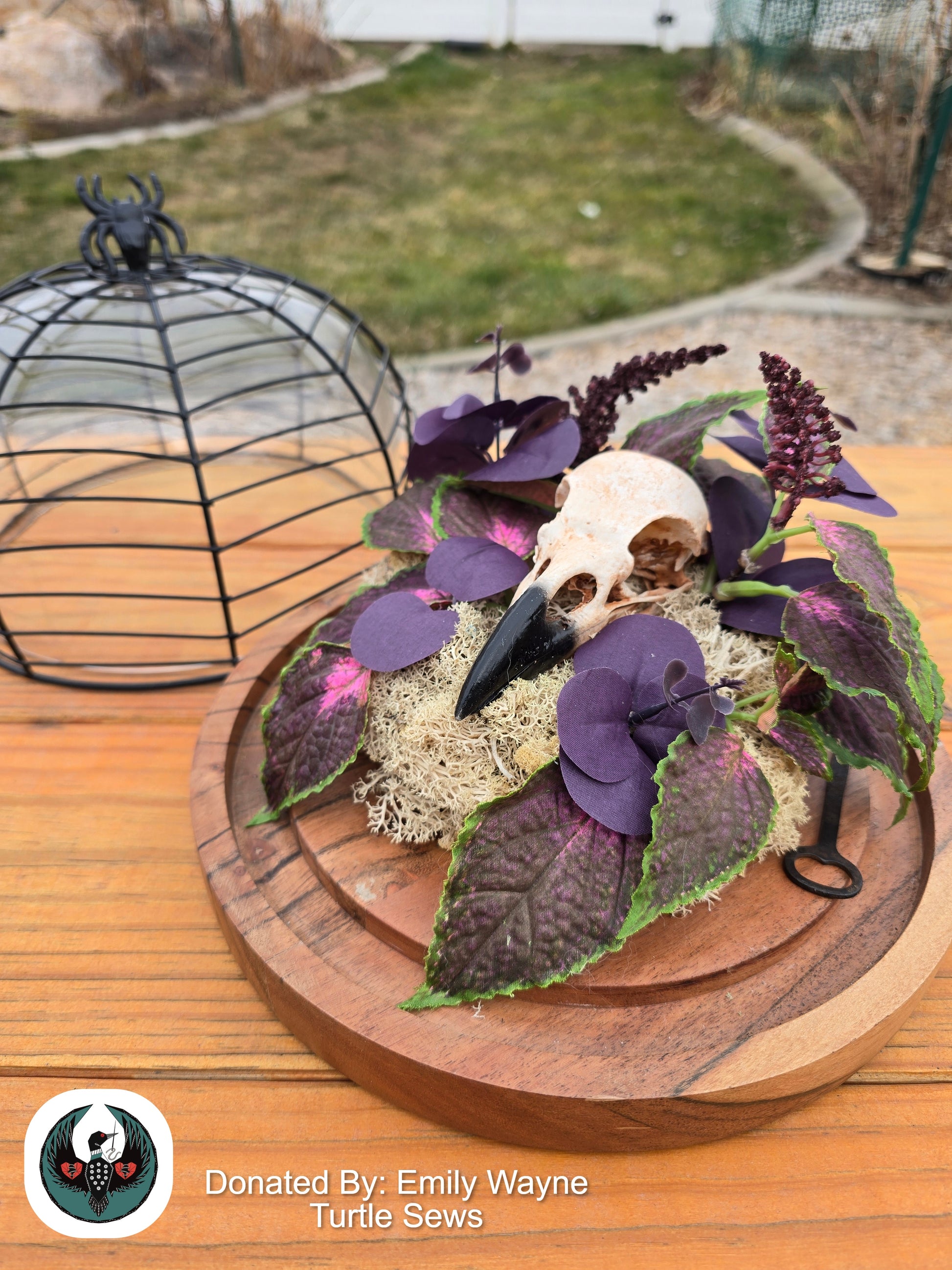 Decorative arrangement with purple leaves and a resin-printed raven skull on a wooden surface inside. a Decorative terrarium black wire spider web lid is in the background.