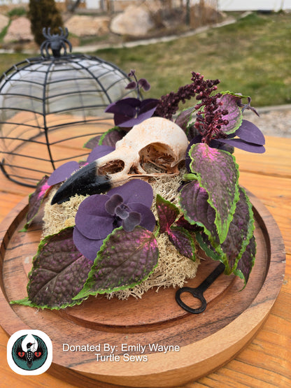 Decorative arrangement with purple leaves and a resin-printed raven skull on a wooden surface inside. a Decorative terrarium black wire spider web lid is in the background.