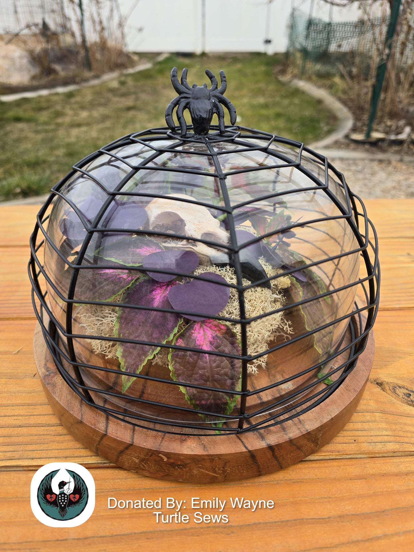 Decorative terrarium with a black wire spider web lid with a Decorative arrangement with purple leaves and a resin-printed raven skull on a wooden surface inside.