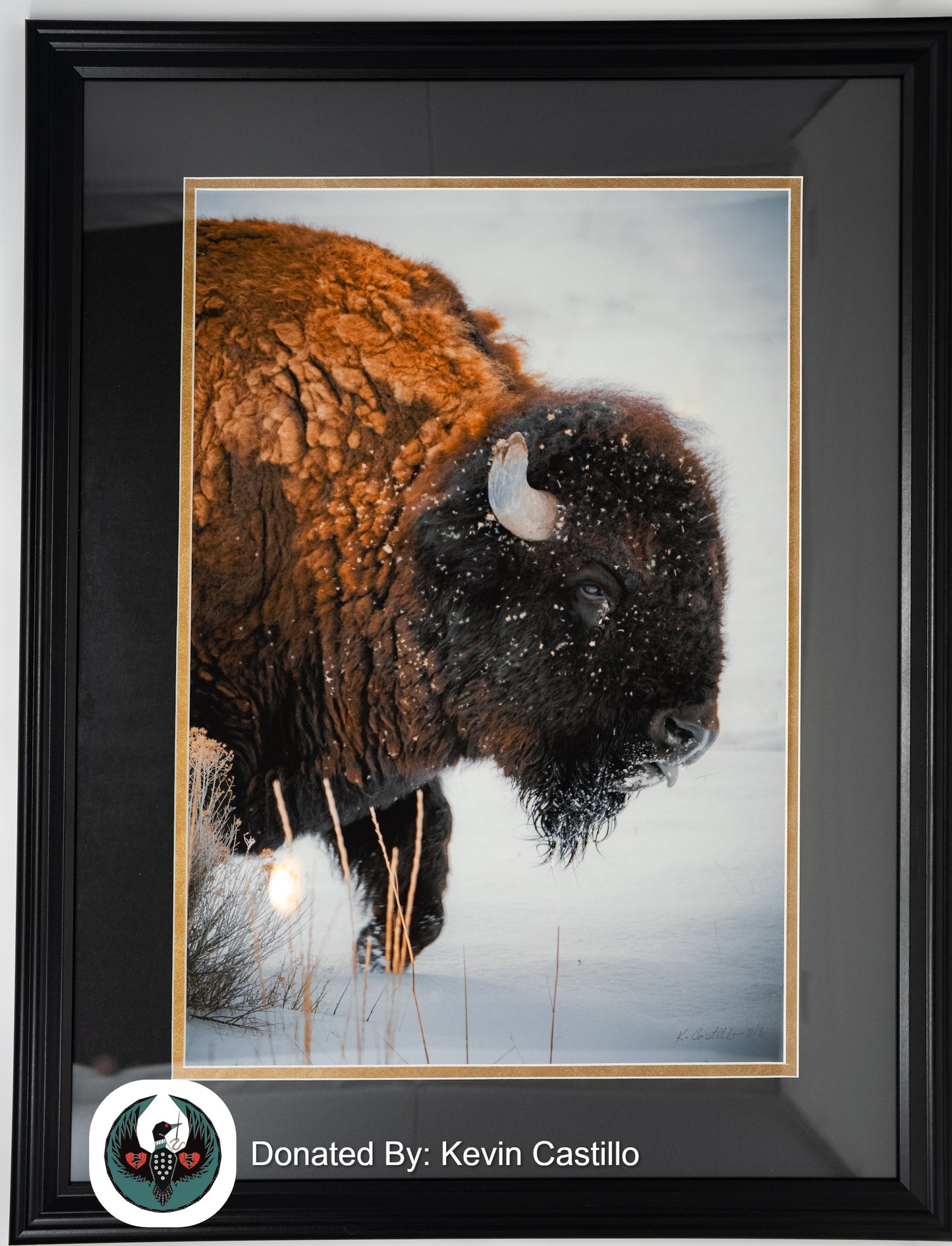 Limited Edition SIGNED Bison Photo